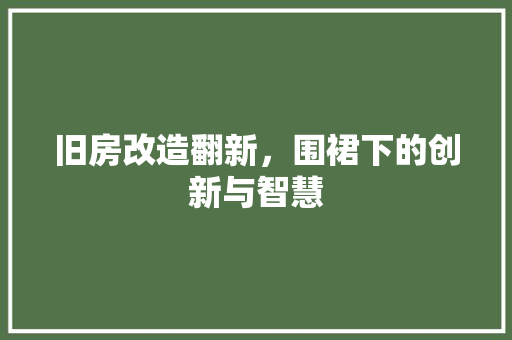 旧房改造翻新，围裙下的创新与智慧 墙体维修