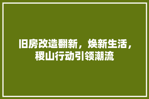 旧房改造翻新，焕新生活，稷山行动引领潮流 厨房维修