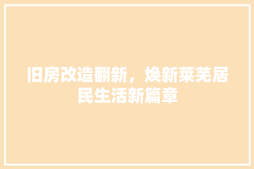 旧房改造翻新，焕新莱芜居民生活新篇章