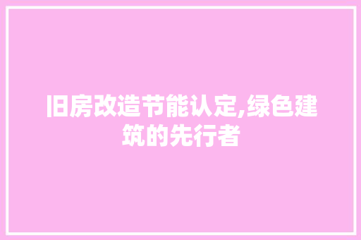 旧房改造节能认定,绿色建筑的先行者 厨房维修