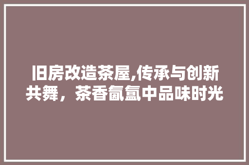 旧房改造茶屋,传承与创新共舞，茶香氤氲中品味时光流转