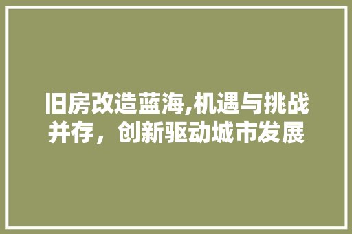 旧房改造蓝海,机遇与挑战并存，创新驱动城市发展