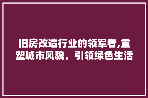 旧房改造行业的领军者,重塑城市风貌，引领绿色生活潮流 墙体维修