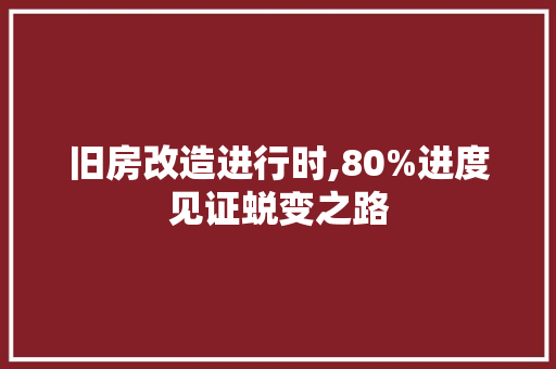 旧房改造进行时,80%进度见证蜕变之路 汽车维修