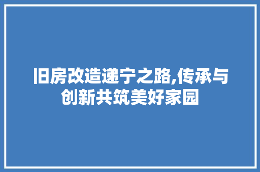 旧房改造递宁之路,传承与创新共筑美好家园 墙体维修
