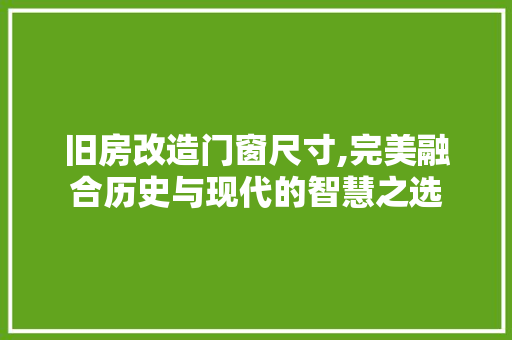 旧房改造门窗尺寸,完美融合历史与现代的智慧之选 汽车维修