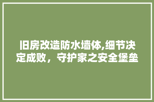 旧房改造防水墙体,细节决定成败，守护家之安全堡垒 厨房维修