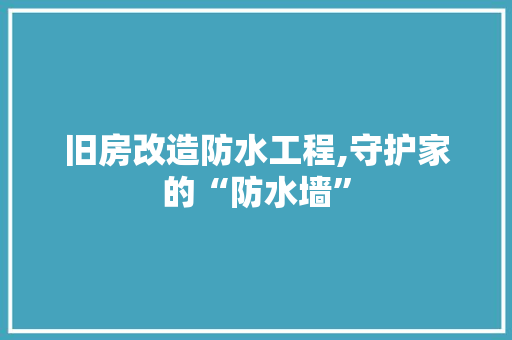 旧房改造防水工程,守护家的“防水墙” 厨房维修