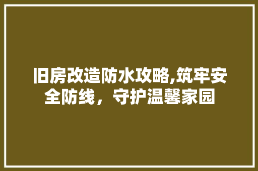旧房改造防水攻略,筑牢安全防线，守护温馨家园 汽车维修