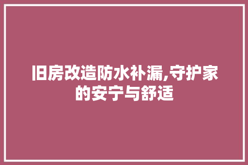 旧房改造防水补漏,守护家的安宁与舒适 墙体维修
