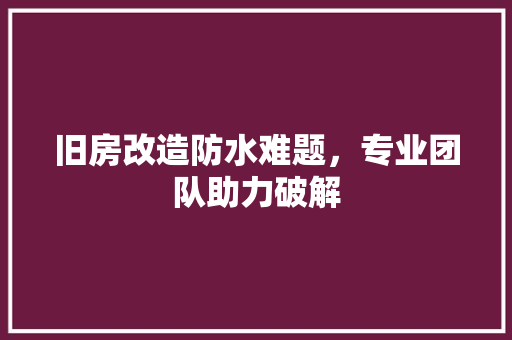 旧房改造防水难题，专业团队助力破解 厨房维修