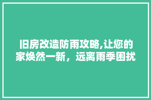 旧房改造防雨攻略,让您的家焕然一新，远离雨季困扰 汽车维修