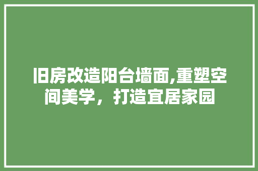 旧房改造阳台墙面,重塑空间美学，打造宜居家园 厨房维修