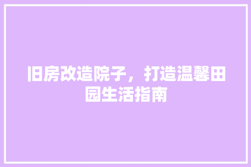 旧房改造院子，打造温馨田园生活指南 汽车维修