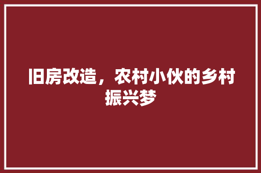 旧房改造，农村小伙的乡村振兴梦 汽车维修