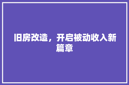 旧房改造，开启被动收入新篇章 厨房维修