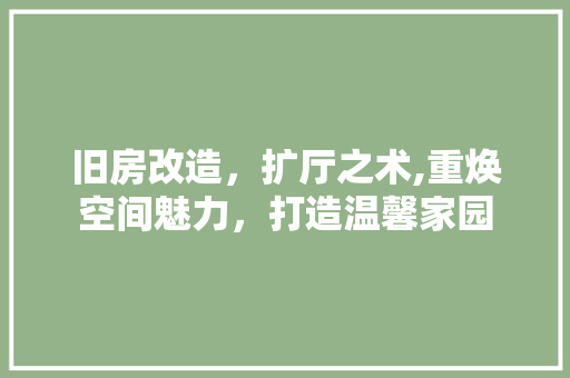 旧房改造，扩厅之术,重焕空间魅力，打造温馨家园 汽车维修