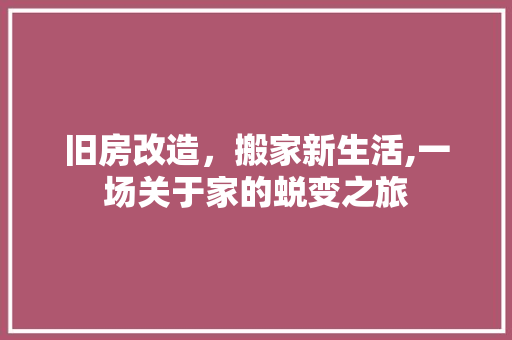 旧房改造，搬家新生活,一场关于家的蜕变之旅 墙体维修