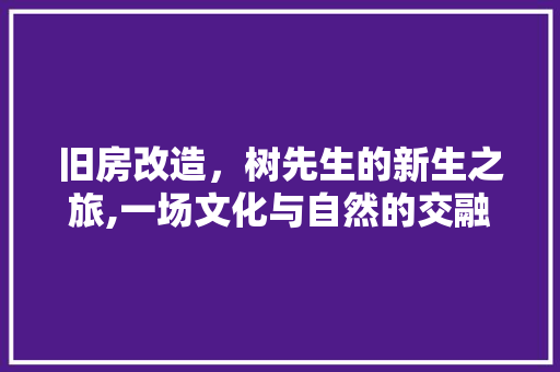 旧房改造，树先生的新生之旅,一场文化与自然的交融 厨房维修