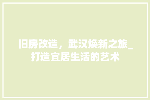 旧房改造，武汉焕新之旅_打造宜居生活的艺术 厨房维修