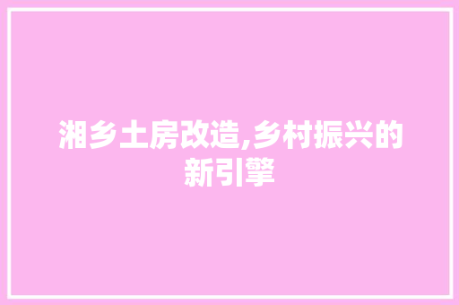 湘乡土房改造,乡村振兴的新引擎