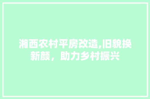 湘西农村平房改造,旧貌换新颜，助力乡村振兴