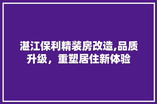 湛江保利精装房改造,品质升级，重塑居住新体验 厨房维修