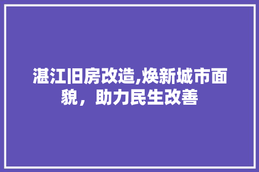 湛江旧房改造,焕新城市面貌，助力民生改善 厨房维修