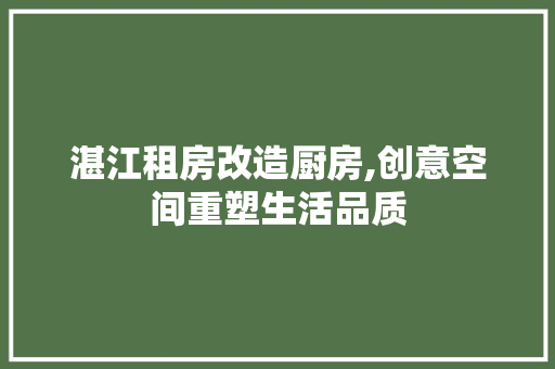 湛江租房改造厨房,创意空间重塑生活品质