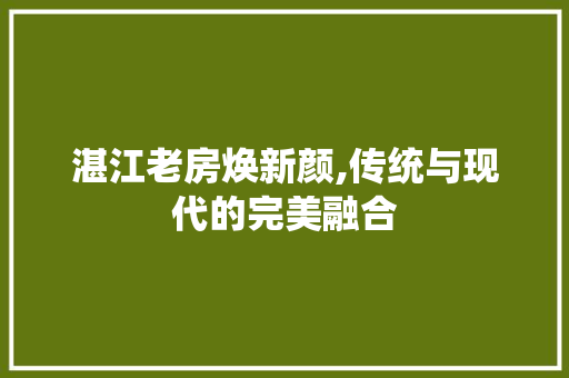 湛江老房焕新颜,传统与现代的完美融合