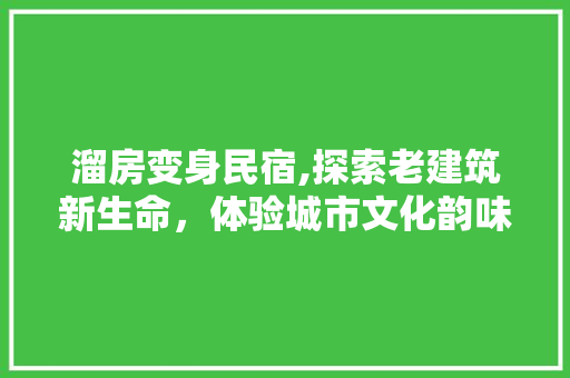 溜房变身民宿,探索老建筑新生命，体验城市文化韵味