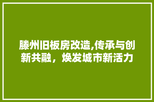 滕州旧板房改造,传承与创新共融，焕发城市新活力 厨房维修