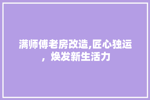 满师傅老房改造,匠心独运，焕发新生活力 汽车维修