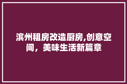 滨州租房改造厨房,创意空间，美味生活新篇章 家电维修