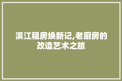 滨江租房焕新记,老厨房的改造艺术之旅 家电维修