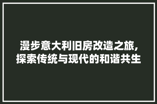 漫步意大利旧房改造之旅,探索传统与现代的和谐共生