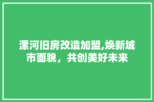 漯河旧房改造加盟,焕新城市面貌，共创美好未来