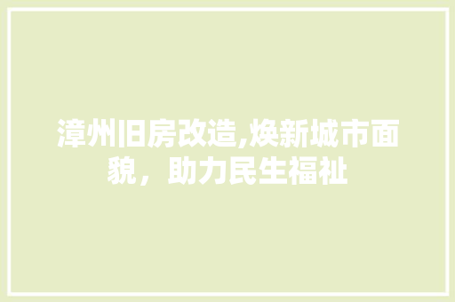 漳州旧房改造,焕新城市面貌，助力民生福祉 厨房维修