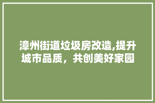 漳州街道垃圾房改造,提升城市品质，共创美好家园 厨房维修