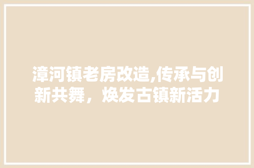 漳河镇老房改造,传承与创新共舞，焕发古镇新活力