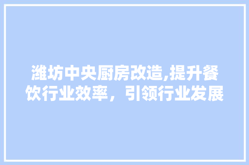 潍坊中央厨房改造,提升餐饮行业效率，引领行业发展新趋势