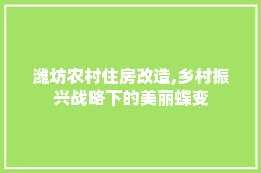 潍坊农村住房改造,乡村振兴战略下的美丽蝶变 墙体维修