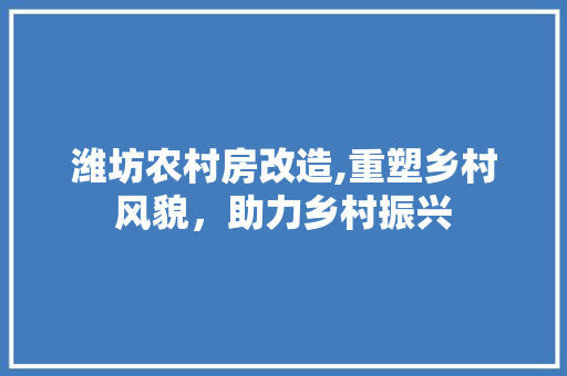潍坊农村房改造,重塑乡村风貌，助力乡村振兴 墙体维修