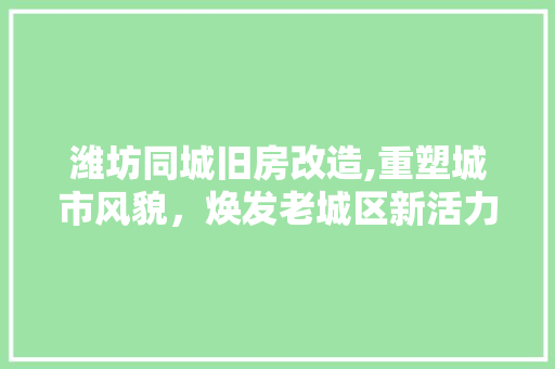 潍坊同城旧房改造,重塑城市风貌，焕发老城区新活力 综合便民
