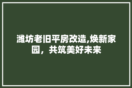 潍坊老旧平房改造,焕新家园，共筑美好未来 家电维修