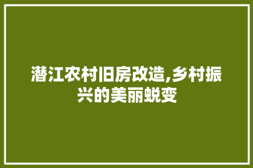 潜江农村旧房改造,乡村振兴的美丽蜕变