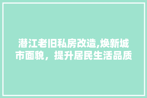 潜江老旧私房改造,焕新城市面貌，提升居民生活品质