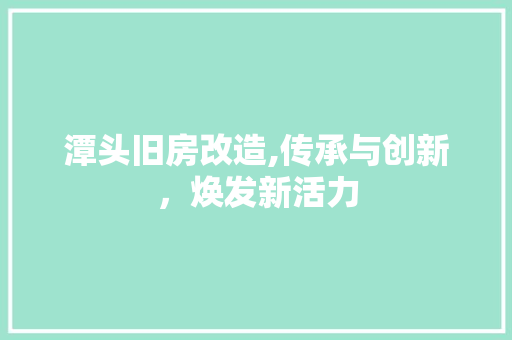 潭头旧房改造,传承与创新，焕发新活力