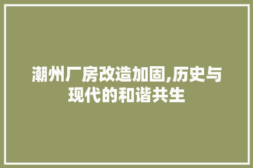 潮州厂房改造加固,历史与现代的和谐共生