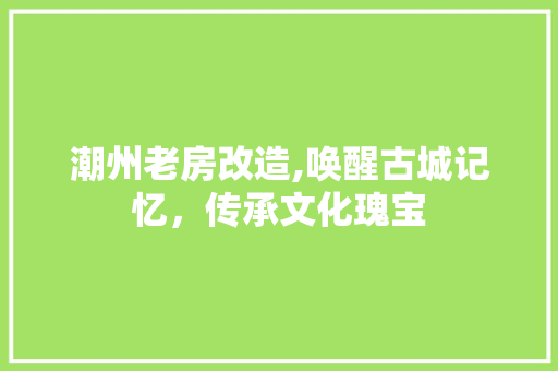 潮州老房改造,唤醒古城记忆，传承文化瑰宝